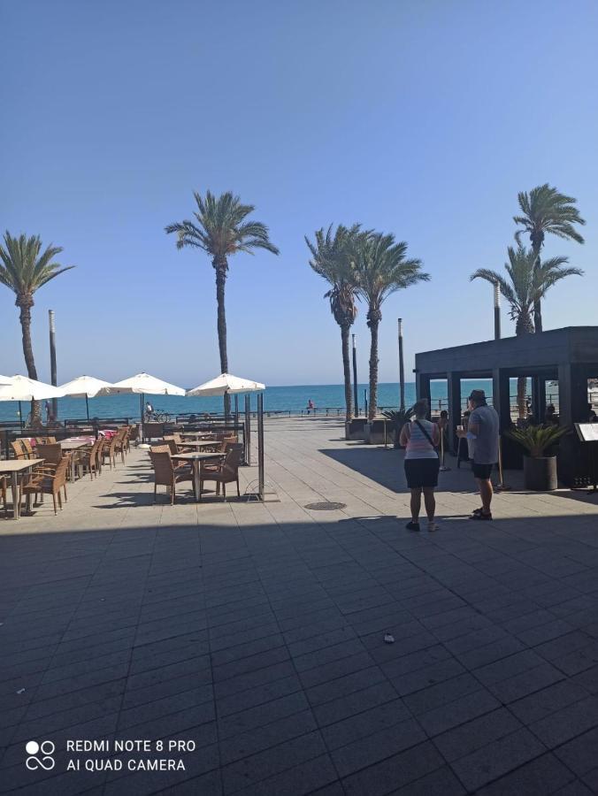 Apartments Ramon In Torrevieja Exteriör bild